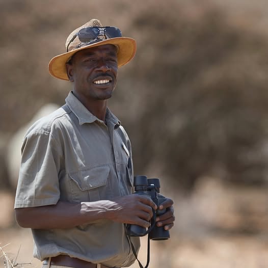 Dinokeng Safaris AA Teesav Official Game Rangers Wear 1