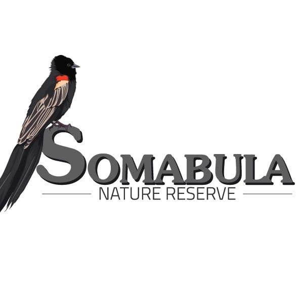 Logo Somabula Logo Somabula