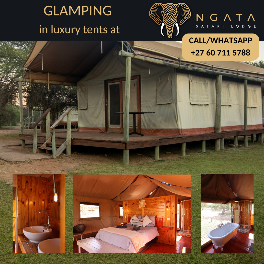 Ngata Safari Lodge logo Ngata Safari Lodge logo