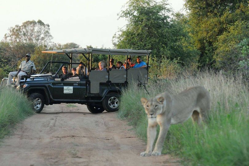Sambane game drive